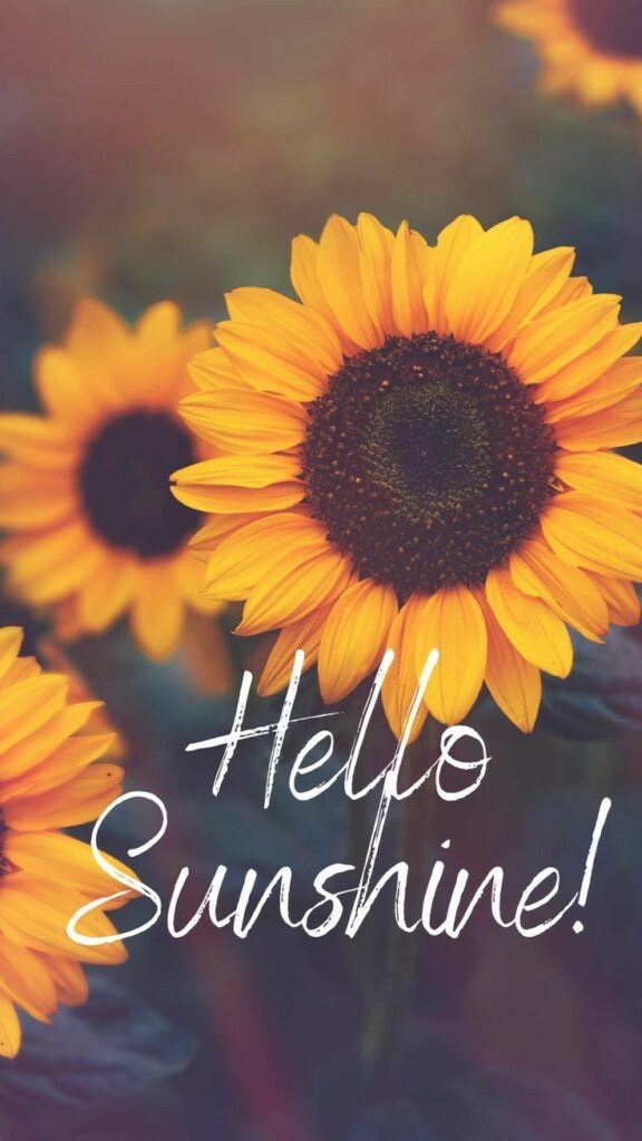 sunshine, health, glorify the Lord